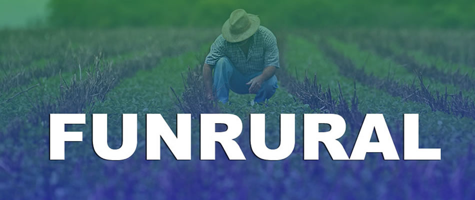 A orientação para os produtores é de que eles aguardem a atualização dessa plataforma/Foto: Divulgação Internet
