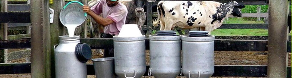 O leite é essencial para a nutrição humana/Foto: Divulgação Internet