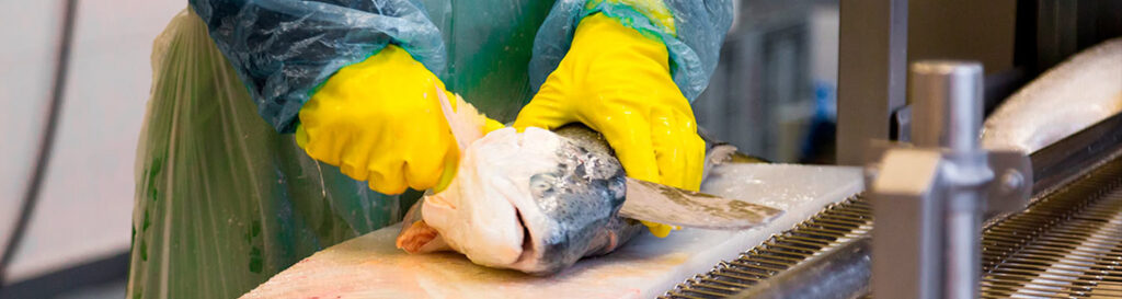 O valor das exportações catarinenses de pescado totalizou US$ 26