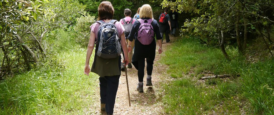 Caminhada objetiva estimular a prática de exercícios físicos