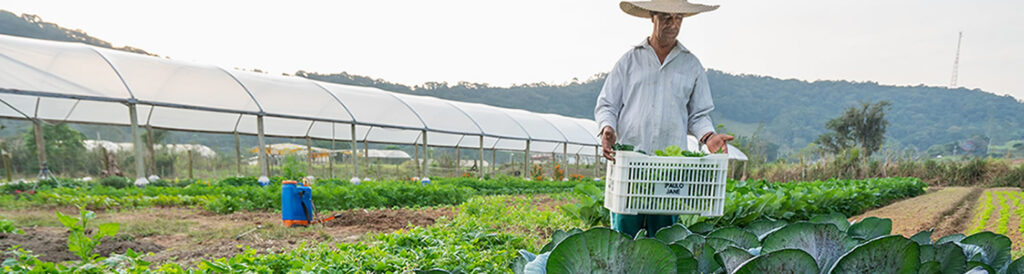 Santa Catarina tem uma agricultura familiar altamente produtiva e inserida no agronegócio/Foto: Ricardo Wolfenbuttel/Secom