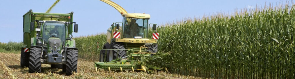 Na agricultura familiar