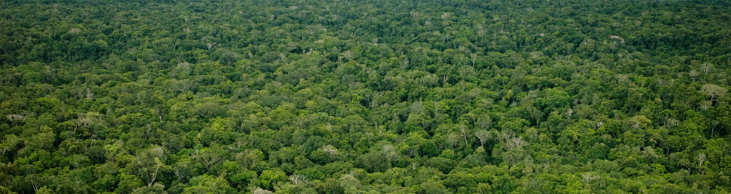 Mais de 220 mil agricultores