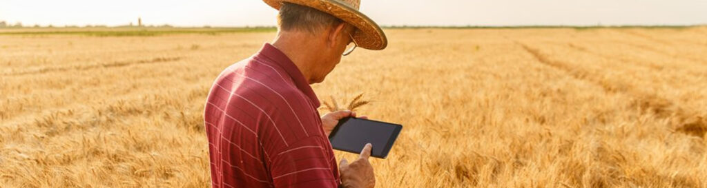 Os pequenos e médios produtores