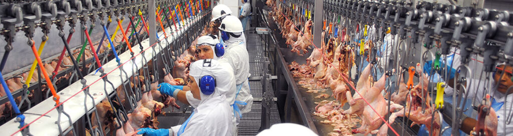 A participação da carne de frango na pauta cambial apresentou incremento dos mais significativos/Foto: Divulgação Internet