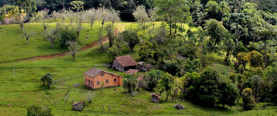 A má qualidade da energia elétrica na zona rural e o preço cobrado pelo consumo encarecem a produção/Foto: Divulgação Internet