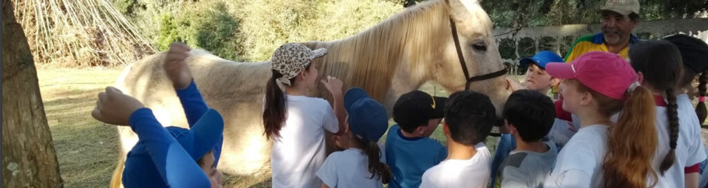 O cavalo Corrisco