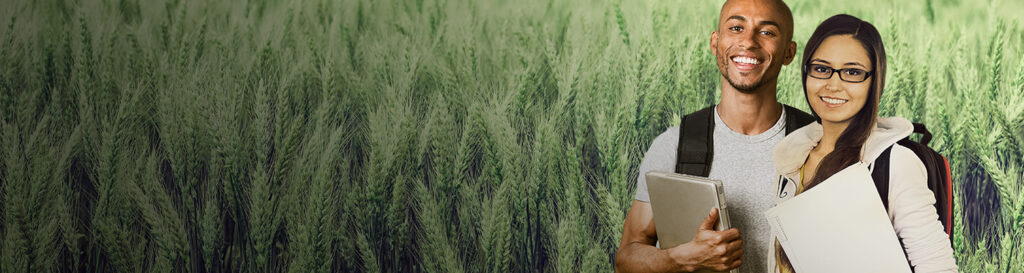 Os produtores rurais devem efetuar as inscrições por meio do Sindicato Rural do município/Foto: Divulgação Internet