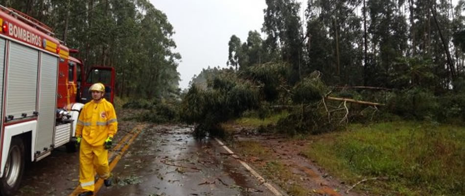 Ocorrência em São Miguel do Oeste/Foto: Divulgação/ CBMSC