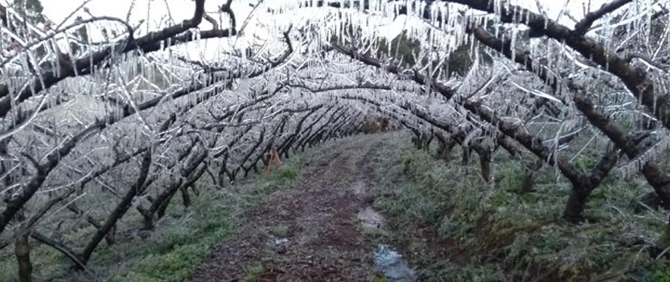 Com a chegada da frente fria, Santa Catarina pode registrar neve no fim de semana/ Foto: Maely Silva - Bom Dia SC