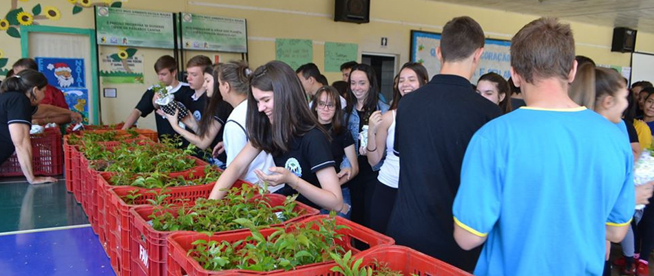 Ao todo serão implantadas 10 placas com frases de alunos da Escola EEB Prof. Maura de Senna Pereira/Foto: Assessoria de Imprensa