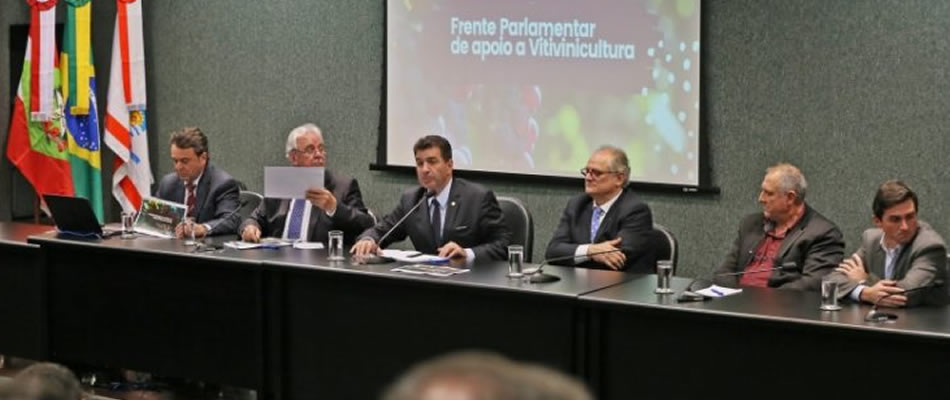 A capital catarinense do vinho