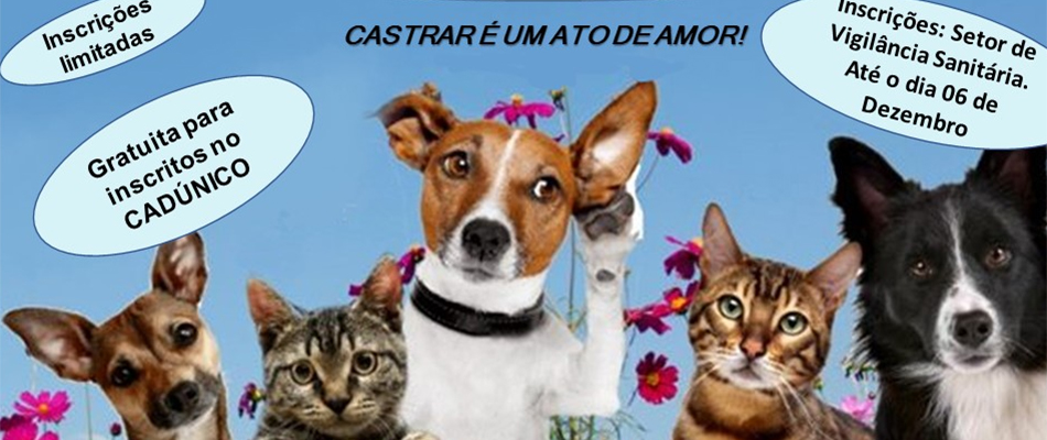 Castrar é um ato de amor/Foto: Assessoria de Imprensa