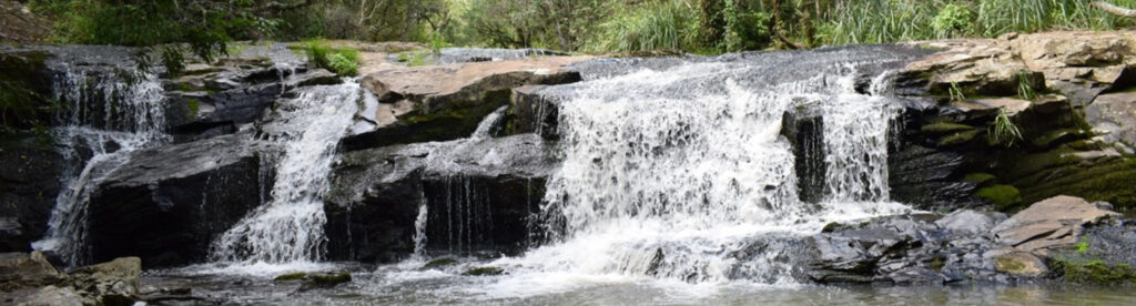Parque Estadual Rio Canoas