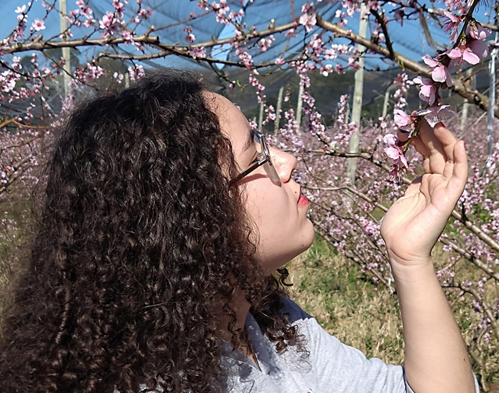 Florada do Pêssego, momento único na Villaggio di Frutta