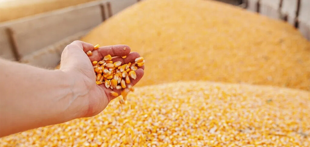 Agroindústria de Santa Catarina sofre com infraestrutura ruim/Foto: Internet