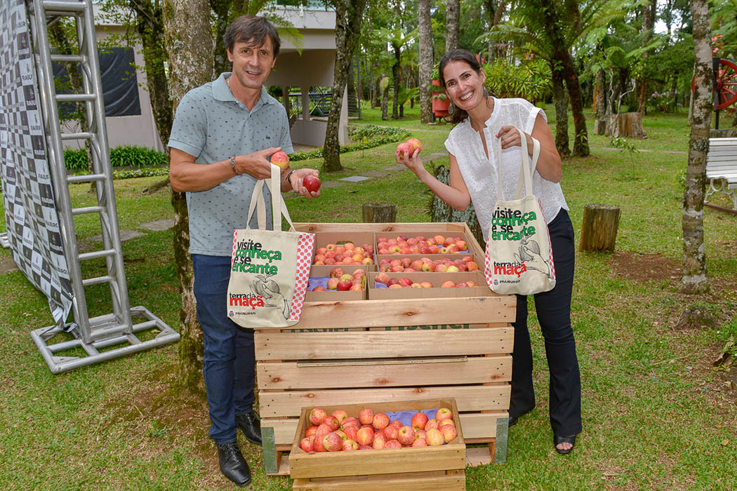 Santa Catarina é o maior produtor de maçã do Brasil - Bom dia SC