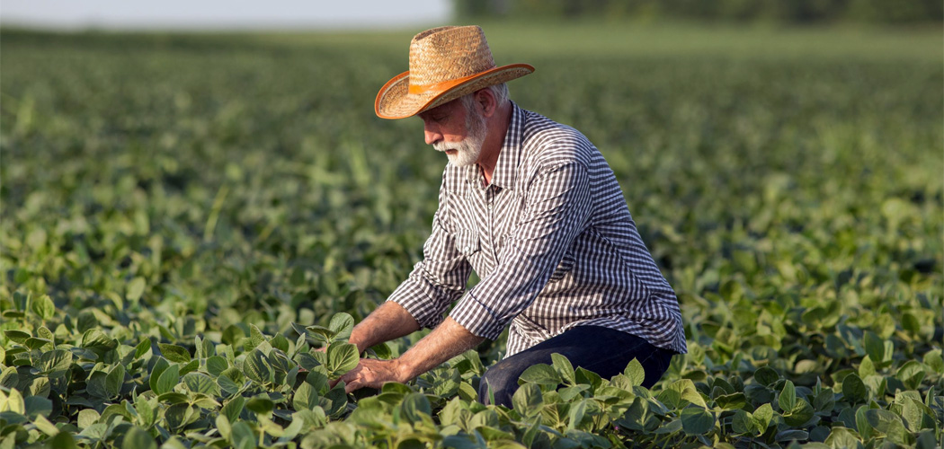 Dia do Agricultor (28/07)/Foto: Internet