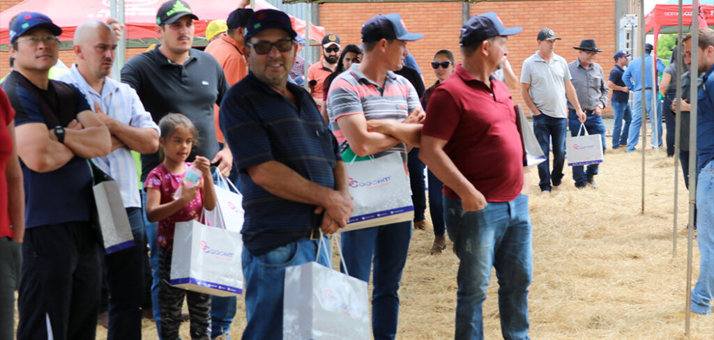 Produtores da região de Curitibanos participam do Dia de Campo Coocam