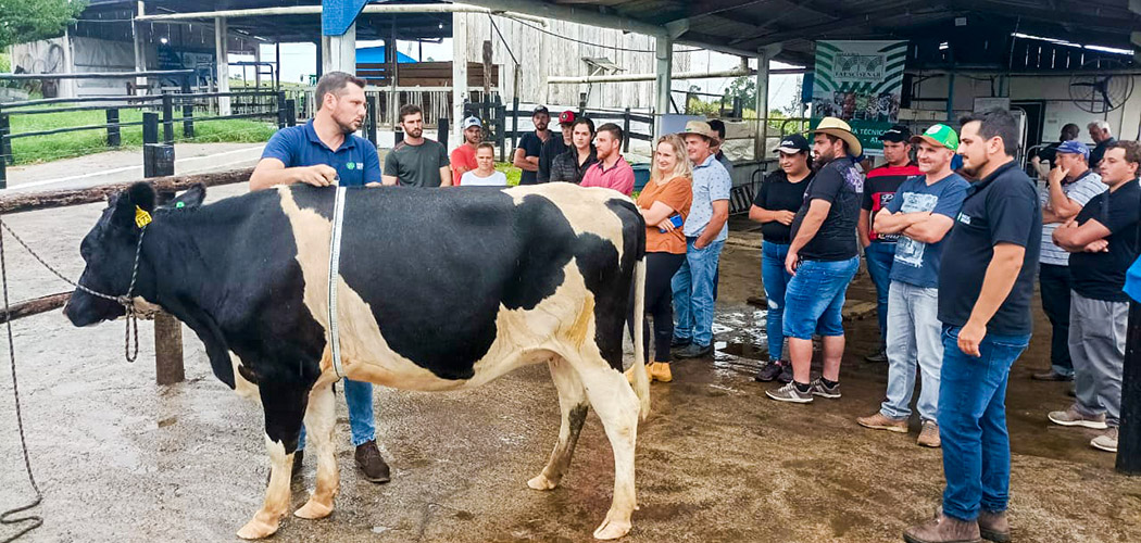 Produtores de leite aperfeiçoam conhecimento durante Dia de Campo no Oeste