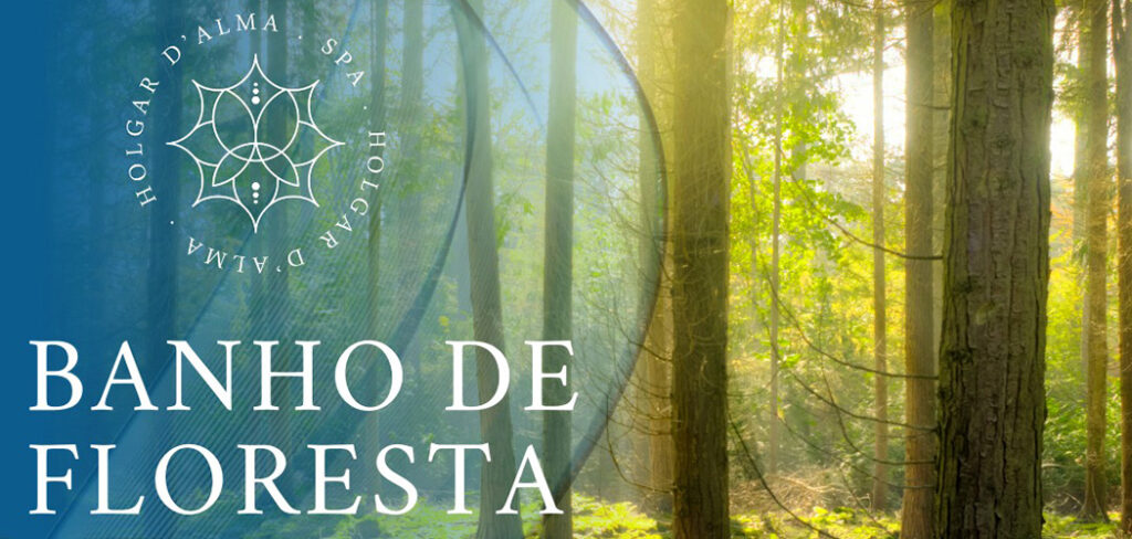 Serra Gaúcha e seus encantos, conheça o Banho de Floresta Sensorial