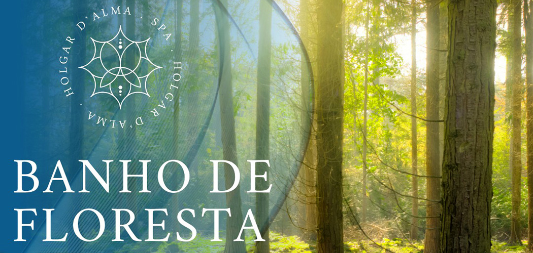 Serra Gaúcha e seus encantos, conheça o Banho de Floresta Sensorial