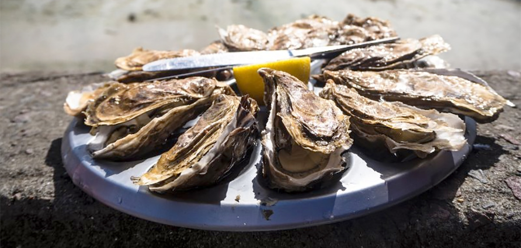 Florianópolis se prepara para sediar 1º Encontro Brasileiro das Cidades Criativas Unesco da Gastronomia