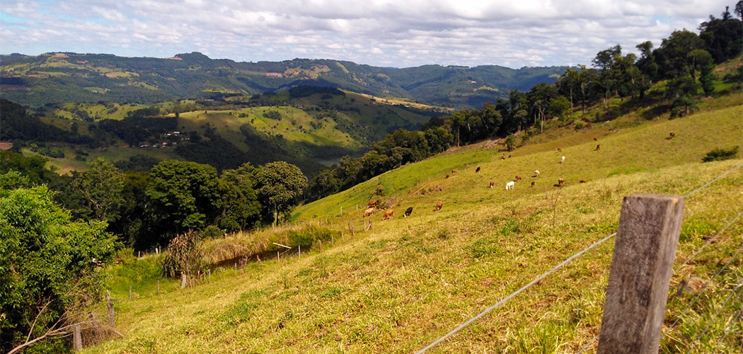 Estudos mapeiam bens e serviços de áreas rurais do Oeste catarinense
