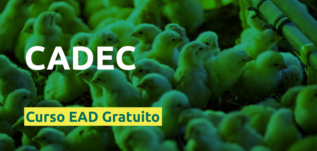 Curso CADEC gratuito capacita para o modelo de negócio do produtor integrado