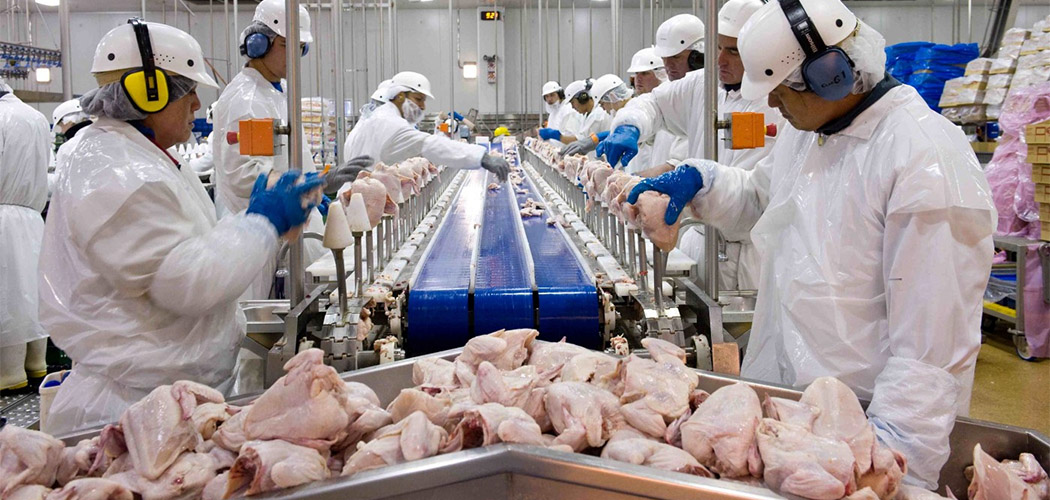 Retomada de exportações de frango de Santa Catarina para o Japão será debatida em missão do Mapa ao país asiático