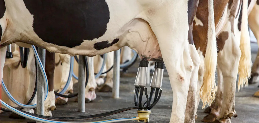 Prefeitura de Joaçaba encaminha ofício pedindo apoio para produtores de leite