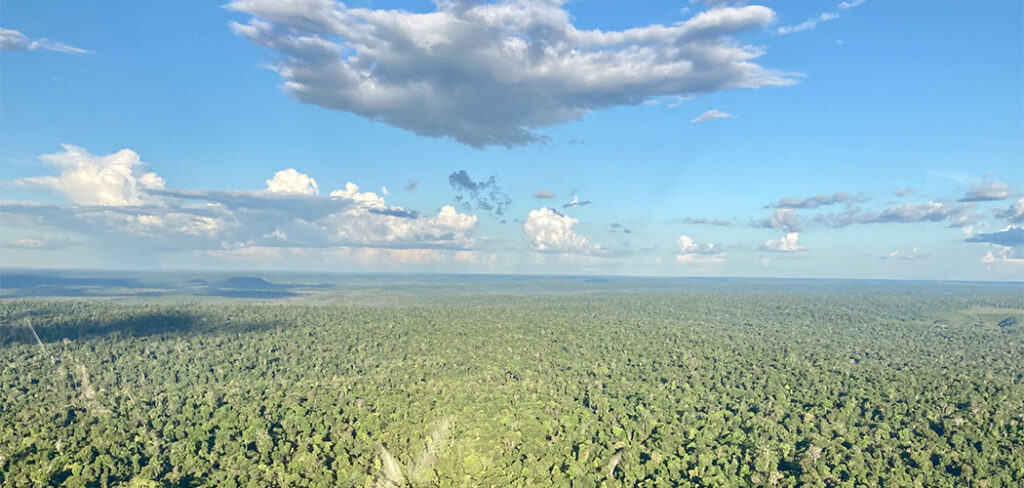 Dia da Amazônia: o potencial e os perigos que envolvem a maior floresta do mundo