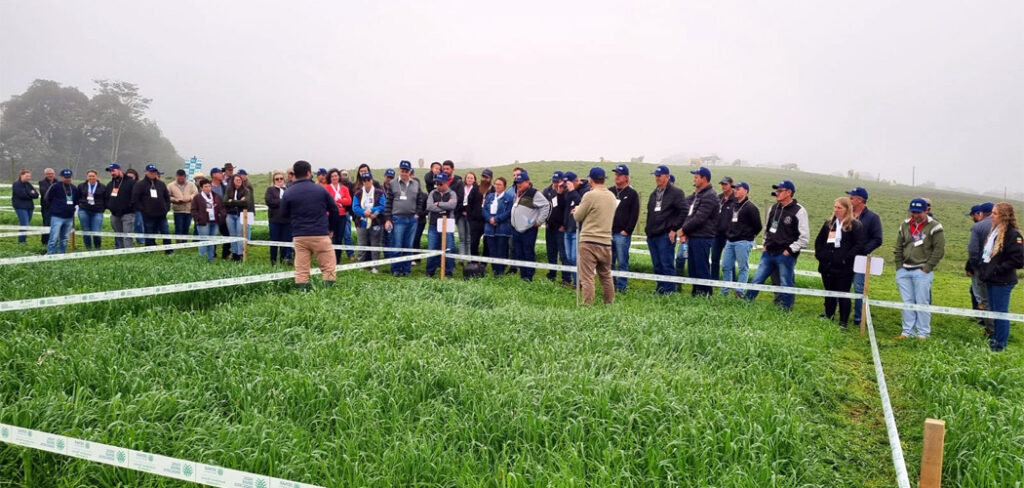 Dia de Campo em Pouso Redondo foi um sucesso