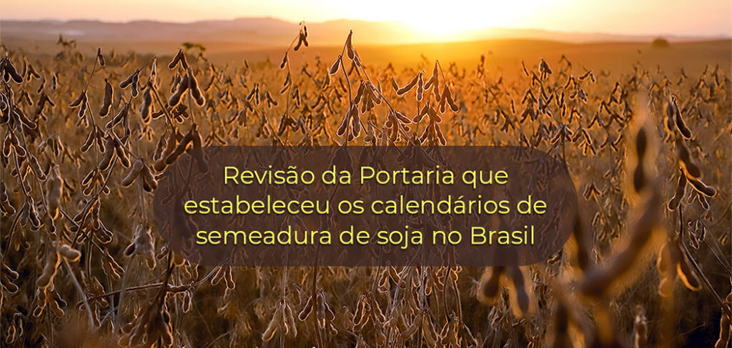 Soja: Santa Catarina solicita a revisão do calendário de semeadura