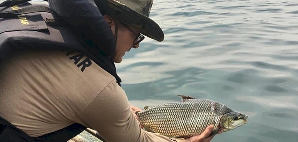 Fiscalização do período de defeso da Piracema iniciam na bacia do Rio Uruguai e seus afluentes