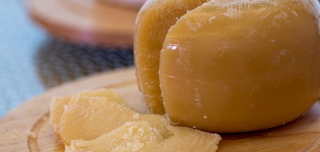 Comer queijo faz bem para o cérebro e pode prevenir doenças, sugere estudo
