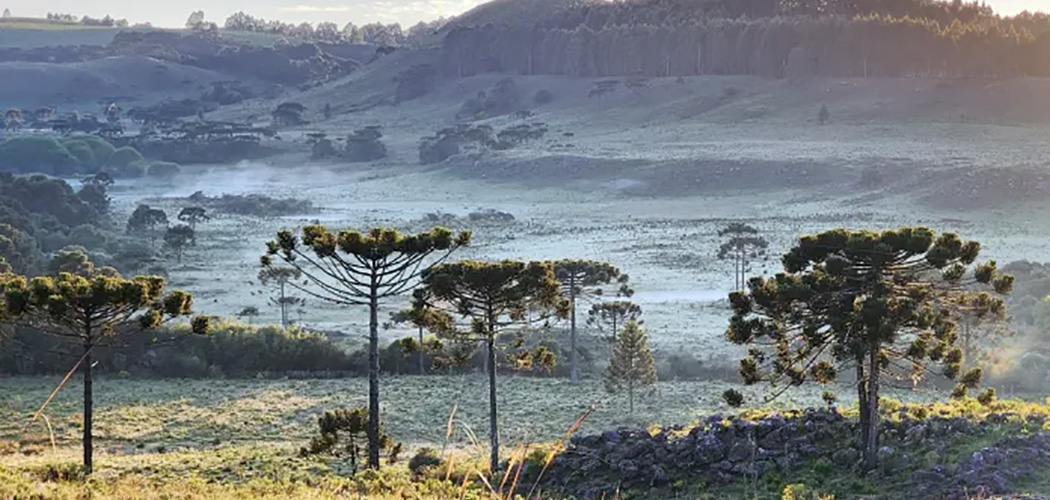 Semana começa com tempo seco e geada na Serra Catarinense