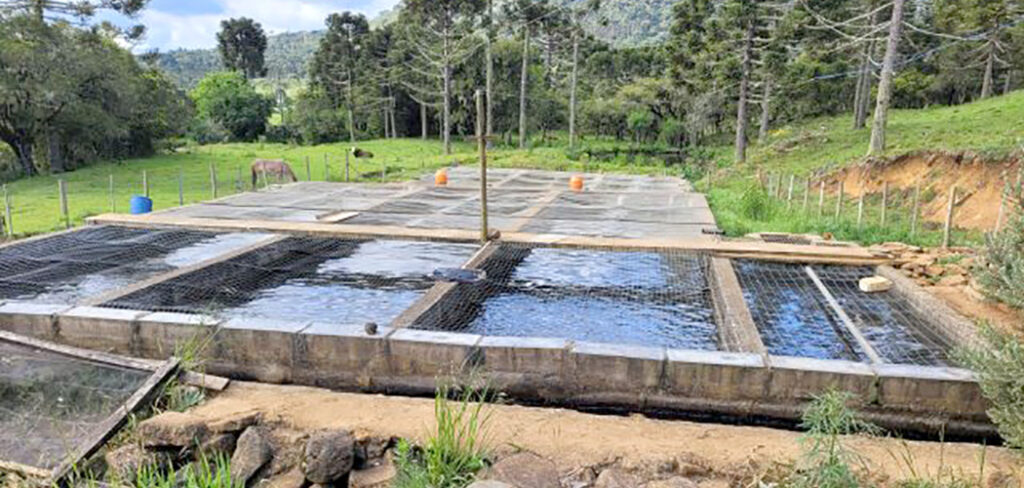 Epagri trabalha para promover o cultivo e o comércio de peixes adaptados ao clima da Serra Catarinense – Foto: Divulgação/Epagri