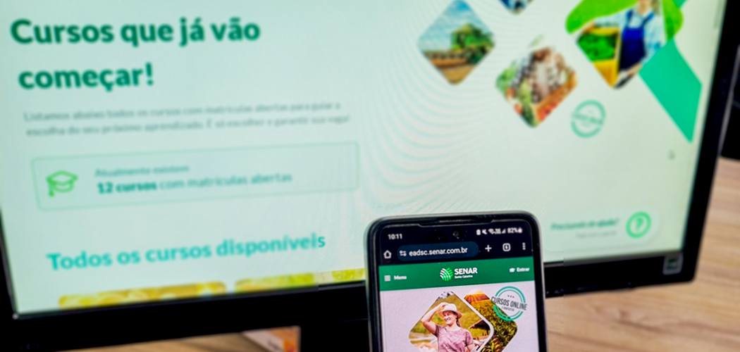 Santa Catarina conta com 12 cursos on-line com matrículas abertas/ Foto: MB Comunicação