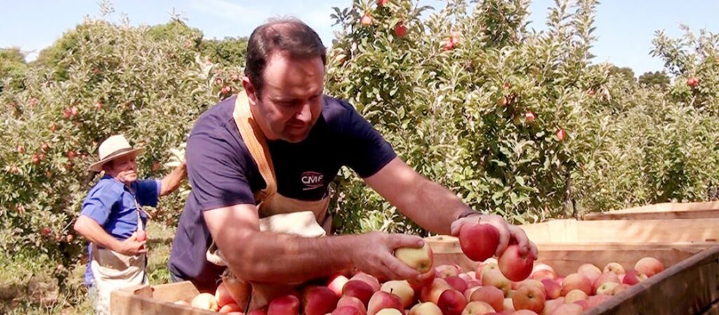 Dia do Agricultor (28/07)/Foto: Maythe Novak-Bom Dia SC