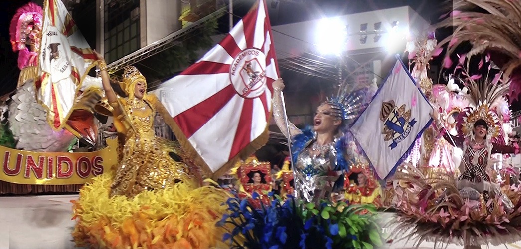 Dia da Escola de Samba (11/04)