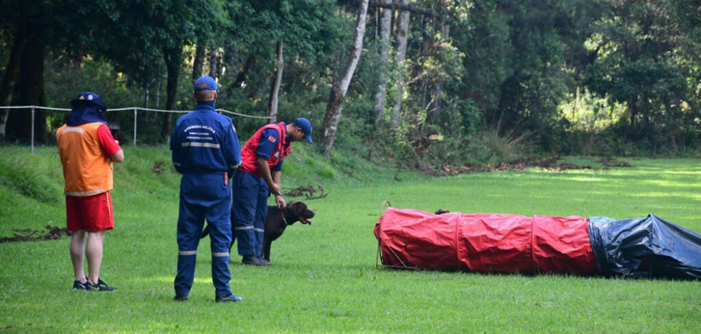 Certificação Nacional de Cães do Corpo de Bombeiros Militar de Santa Catarina tem sede em Florianópolis