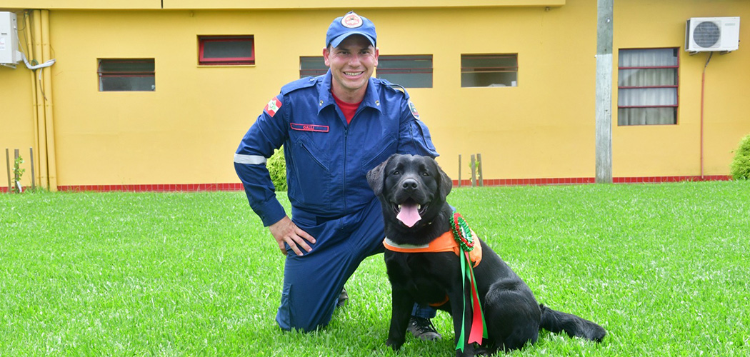 Certificação Nacional de Cães do Corpo de Bombeiros Militar de Santa Catarina tem sede em Florianópolis