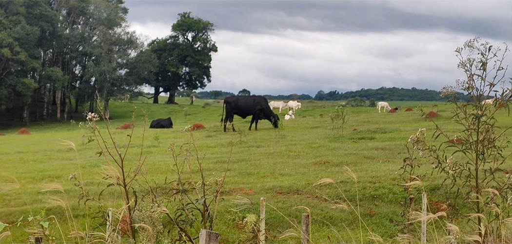 FAESC avalia de forma positiva atuação do Caoagro no combate ao crime no agronegócio/Foto: Evandro Novak-Bom Dia SC