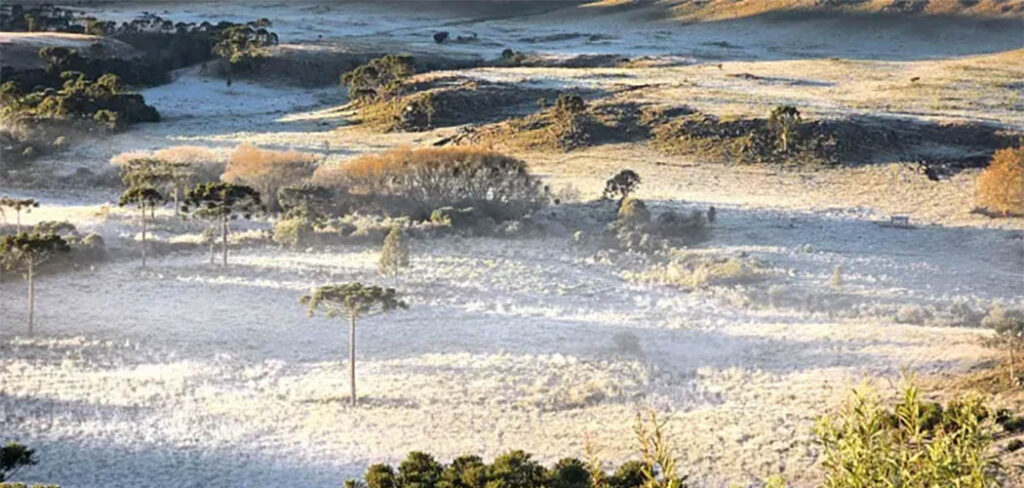 Mais uma manhã de espetáculo na Serra Catarinense nesta sexta-feira (31)/Foto: Mycchel Legnaghi-São Joaquim On Line