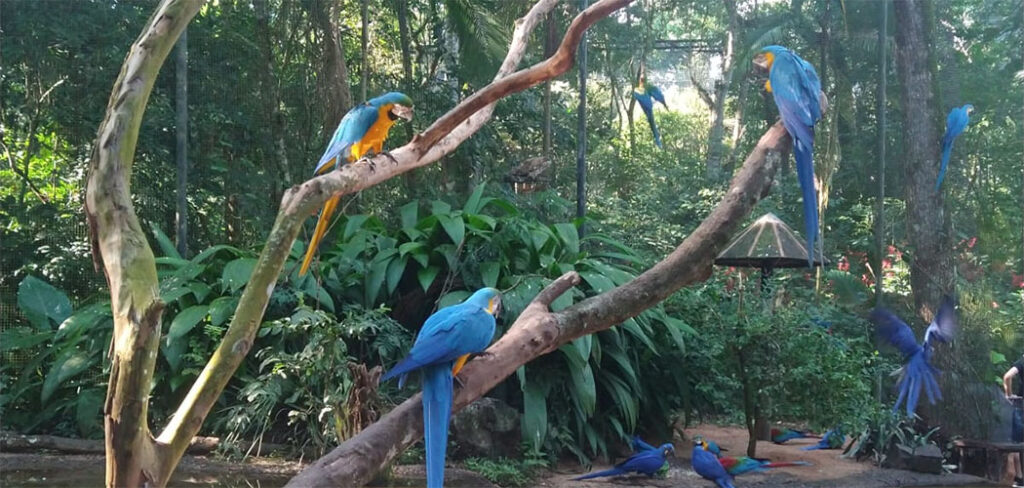 Dia Internacional da Biodiversidade Biológica (22/05)/ Foto: Maythe Novak - Bom Dia SC