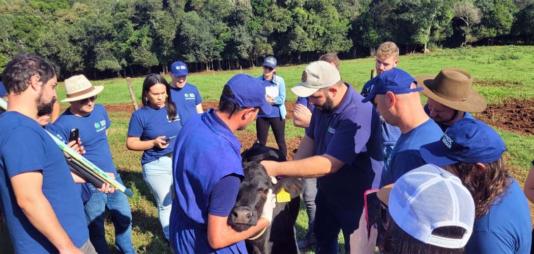 Alunos do Curso Técnico em Zootecnia de Joaçaba visitam propriedades de referência na bovinocultura de leite/Foto: Divulgação Sistema Faesc/Senar/Sindicatos)