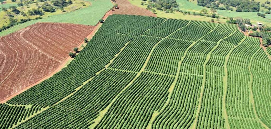 Faesc alerta Sindicatos Rurais a conferirem Valor da Terra Nua/Foto: Internet