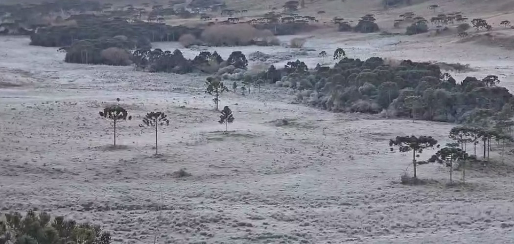 São Joaquim registra temperatura de -6,5°C nesta segunda-feira (1) de julho/Foto: Mycchel Legnaghi/ @saojoaquimonline.com.br