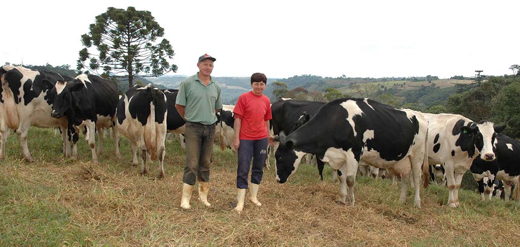 Por meio do Fundo Estadual de Desenvolvimento Rural (FDR) da Secretaria de Estado da Agricultura e Pecuária (SAR), a subvenção dos juros é de 3% sobre a operação de crédito contratada pelos agricultores/ Foto: Divulgação/Epagri